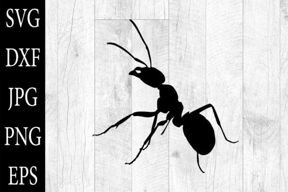 Ant Silhouettes SVG Clipart Review