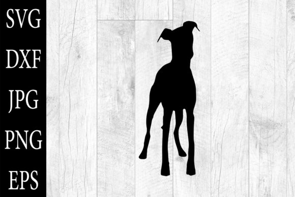 Whippet Silhouettes SVG Whippet Clipart